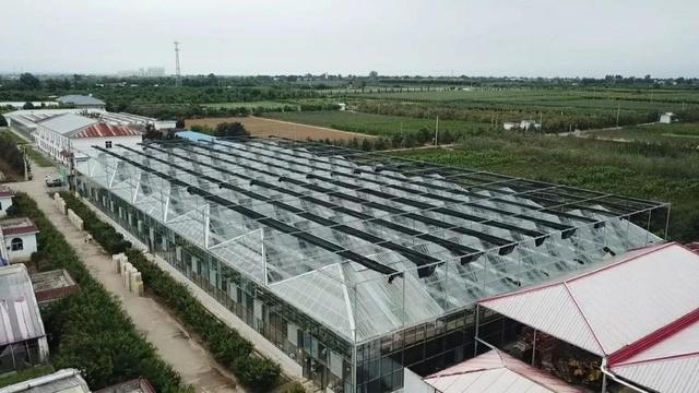 陜西種苗集團成為全國最大國有種苗基地