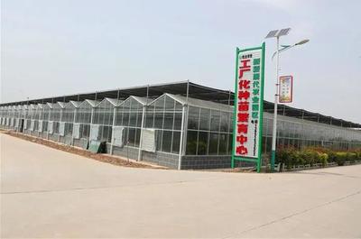 「亮點(diǎn)」陜西大荔:&ldquo;四大行動(dòng)&rdquo;推進(jìn)基層黨建提質(zhì)增效