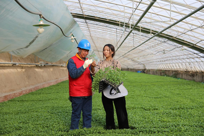 國(guó)網(wǎng)陜西電力:以優(yōu)質(zhì)服務(wù)撐起鄉(xiāng)村