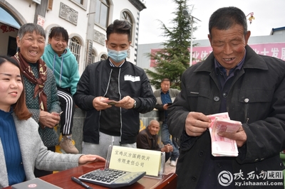 小連翹撬動大產(chǎn)業(yè)中藥材種植助力脫貧攻堅 --陜西中醫(yī)藥大學制藥廠赴旬邑收購連翹