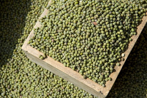 地理老師雷亞鳴 陜西11個產品納入中歐地理標志協定,快看看有沒有你家鄉特產