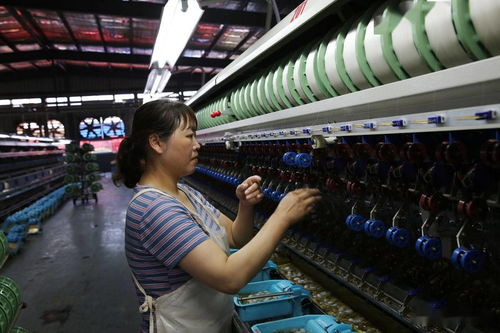 陜西石泉萬余農戶養(yǎng)蠶,繅絲廠收繭繅絲織綢制衣,一片繁忙景象