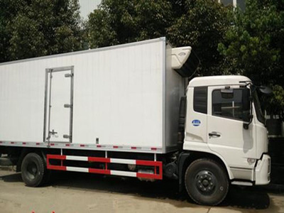 哪里有小龍蝦種苗養殖基地